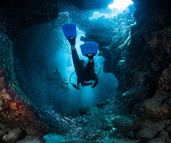 Scuba diving in Waikiki